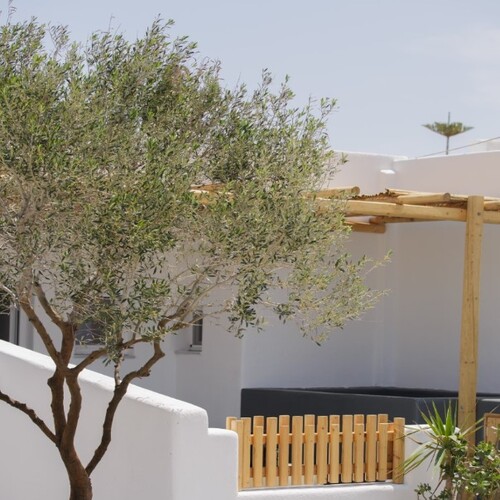 Athiri Luxury Suites - Υπηρεσίες Ψηφιακού Μάρκετινγκ & Online Πωλήσεων ...